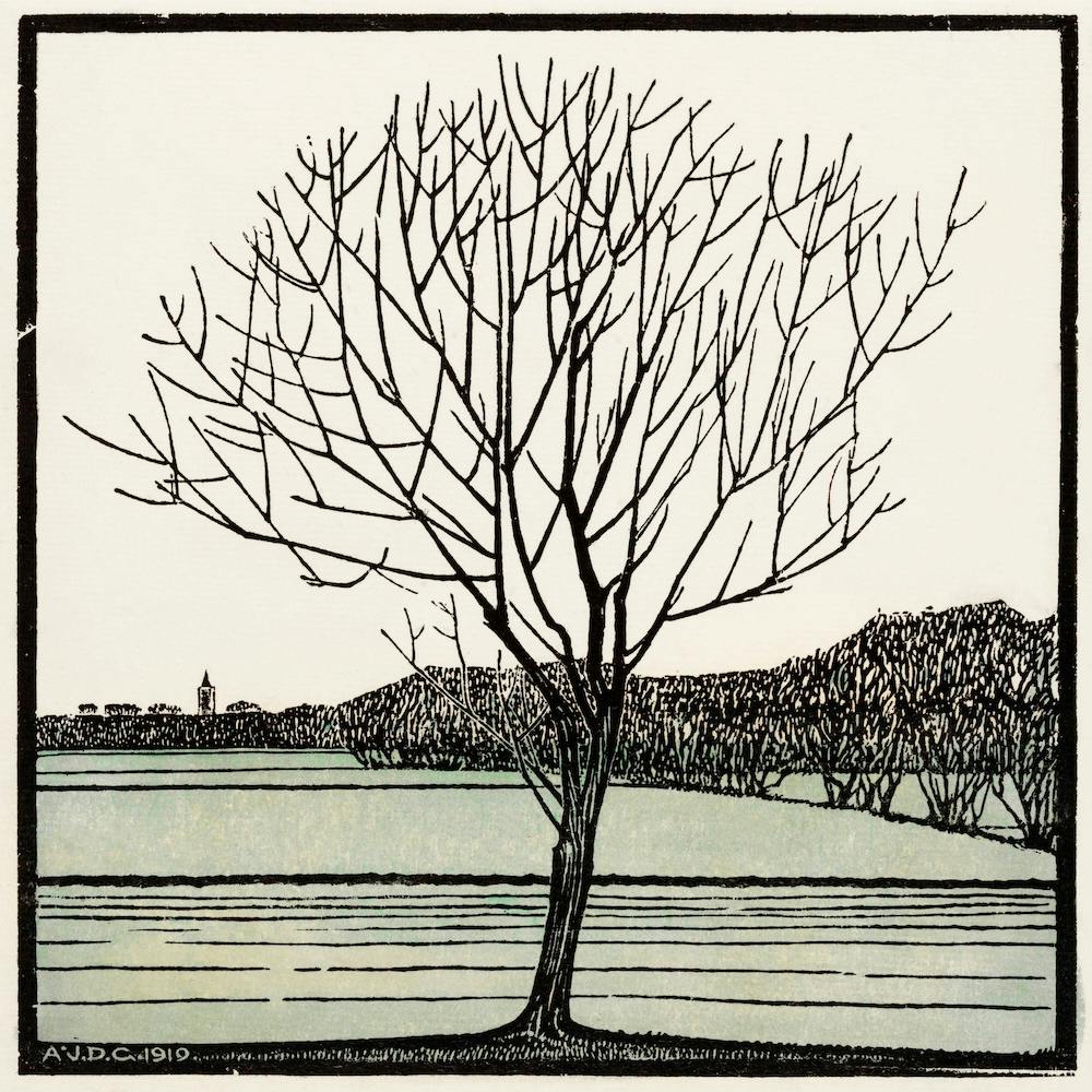Bald Tree, Julie De Graag