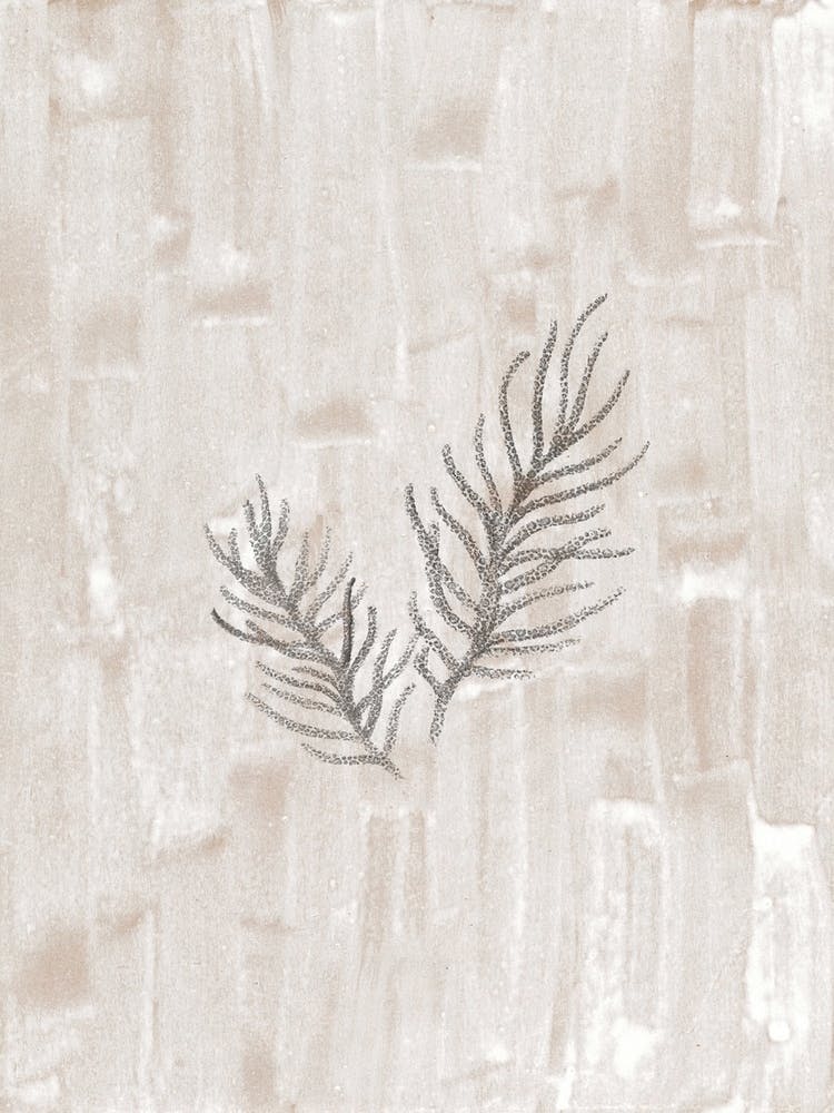 Neutral fir branches