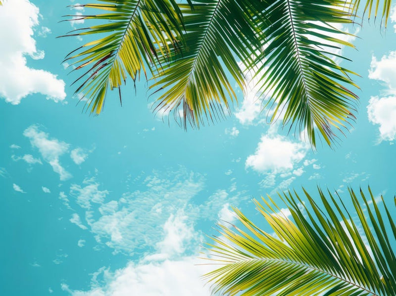 Palm Trees In The Sky 9