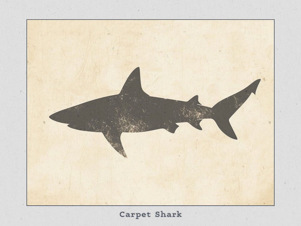 Carpet Shark Silhouette 3 Poster