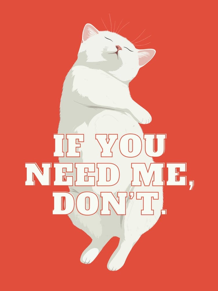 White Cat Sleeping Sarcastic Quote Minimalist Funny Bedroom Decor