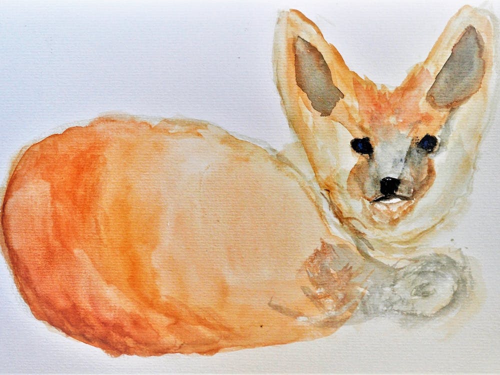 Fox Cub