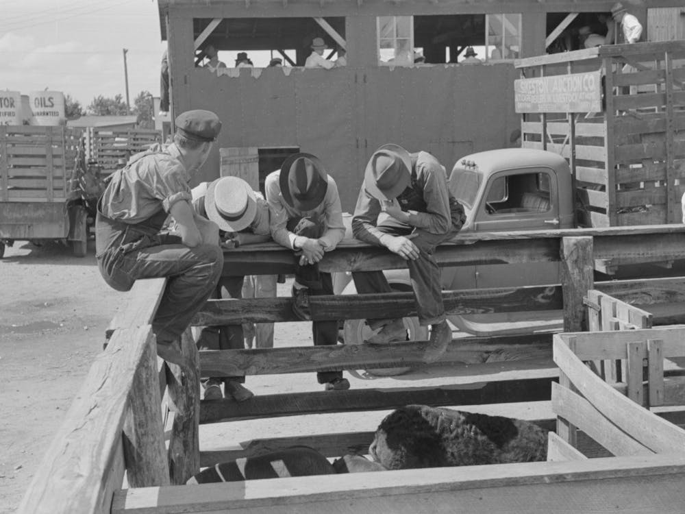 Farmers At Auction Looking At Livestock, Sikeston, Missouri By Russell Lee