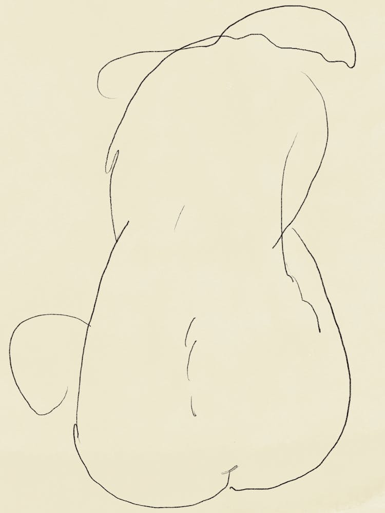 Drawing Of Nude