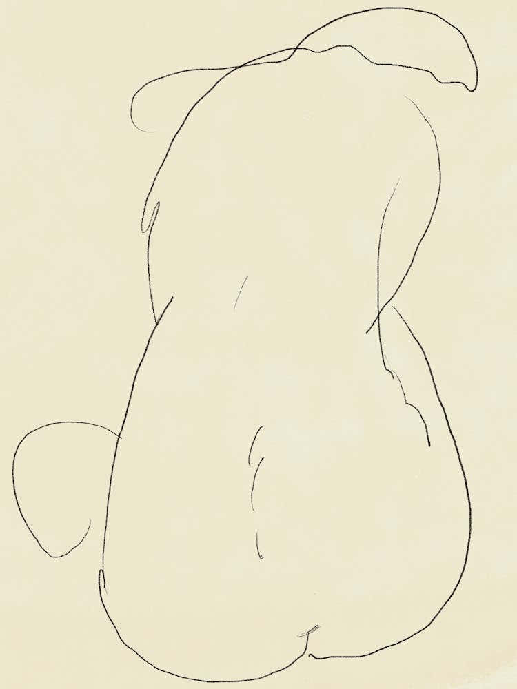 Drawing Of Nude