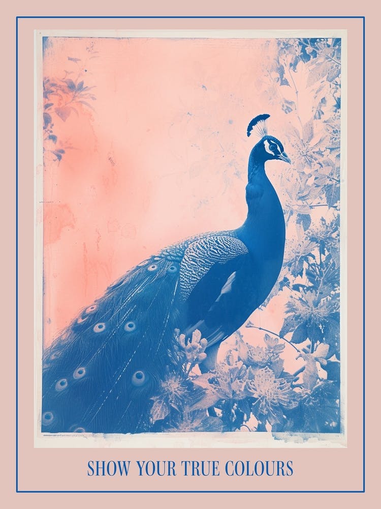 Cyanotype Inspired Peacock In The Leaves 3 Poster