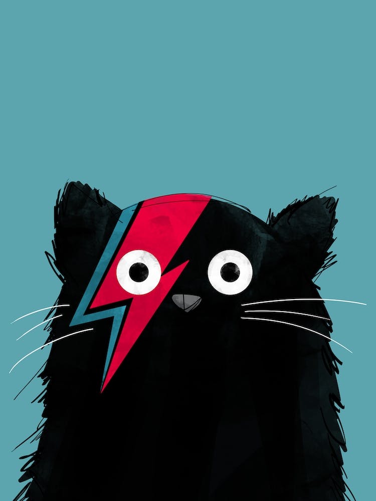 Cat Bowie