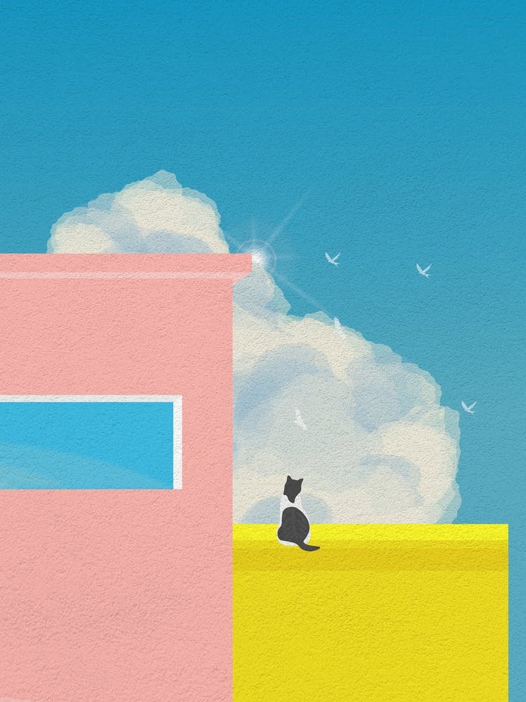 Minimal art Pink and yellow building with Cat On A Roof