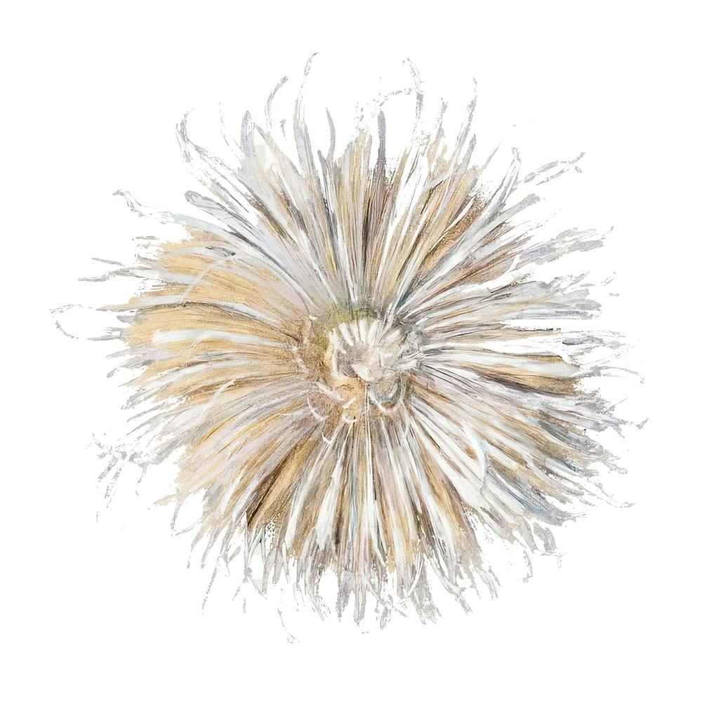 Chrysanthemum Sticker, Flower Illustration 1