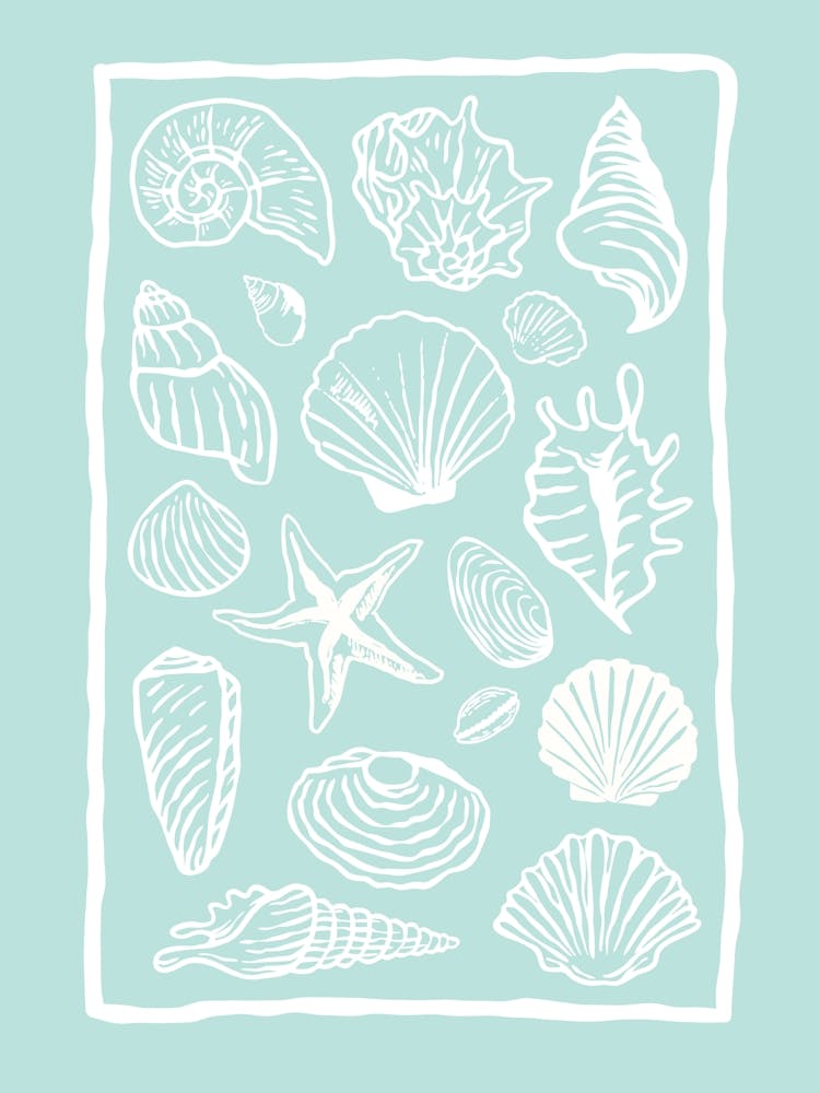 Seashells Aqua