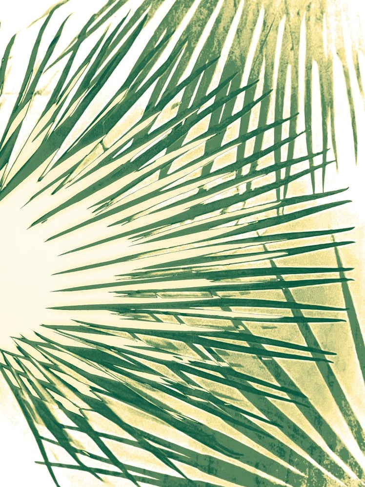 Green Palm Leaves cyanotype