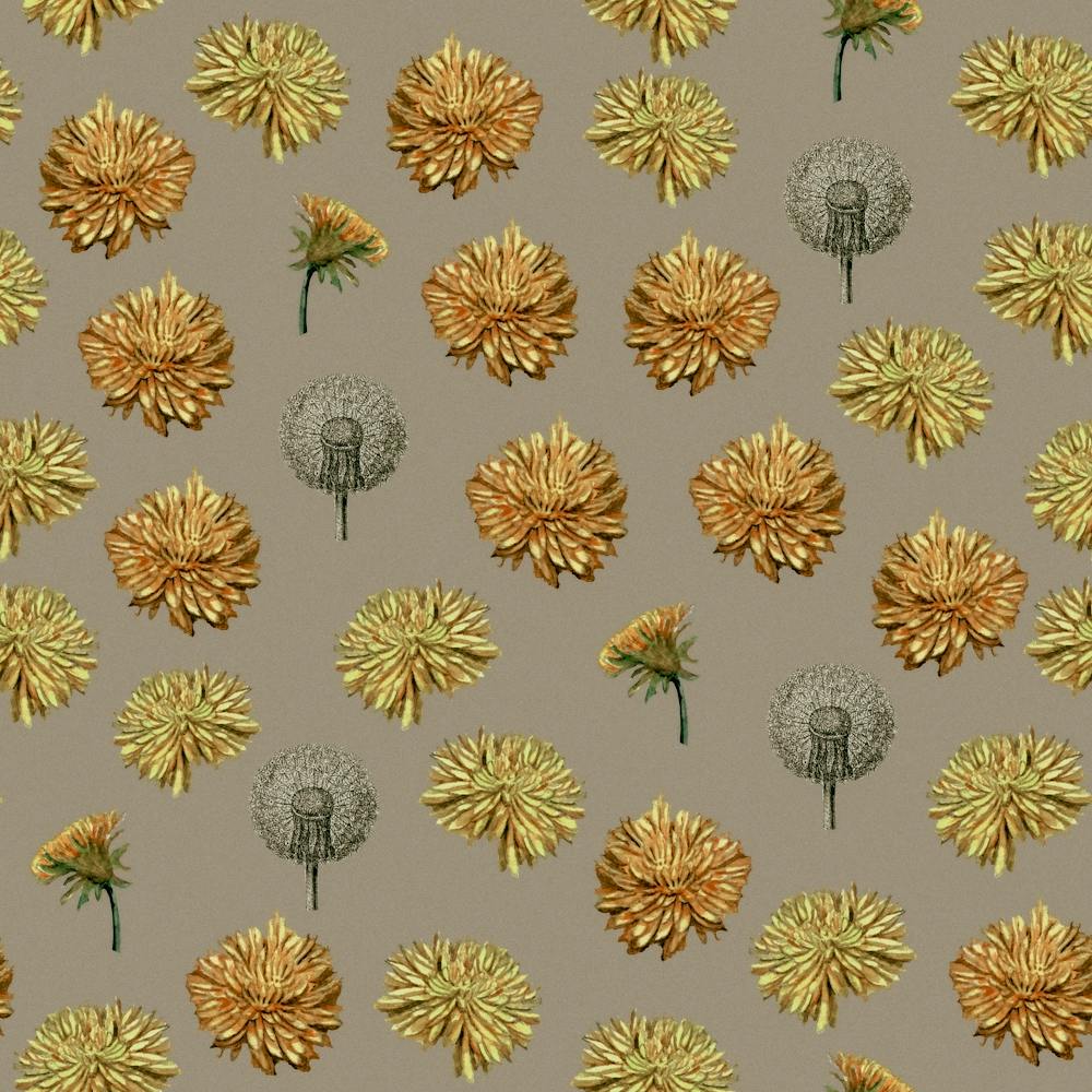 Watercolour Dandelion Ochre