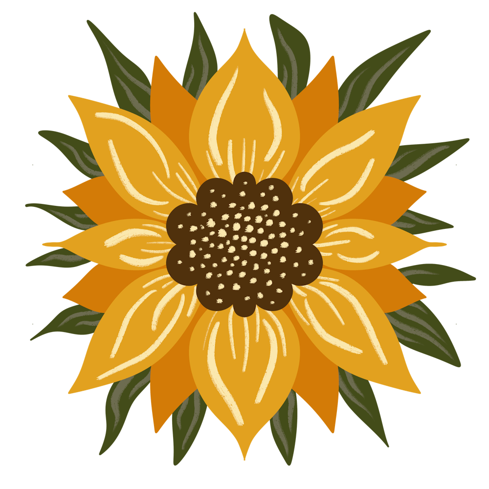 Modern bold large sunflower