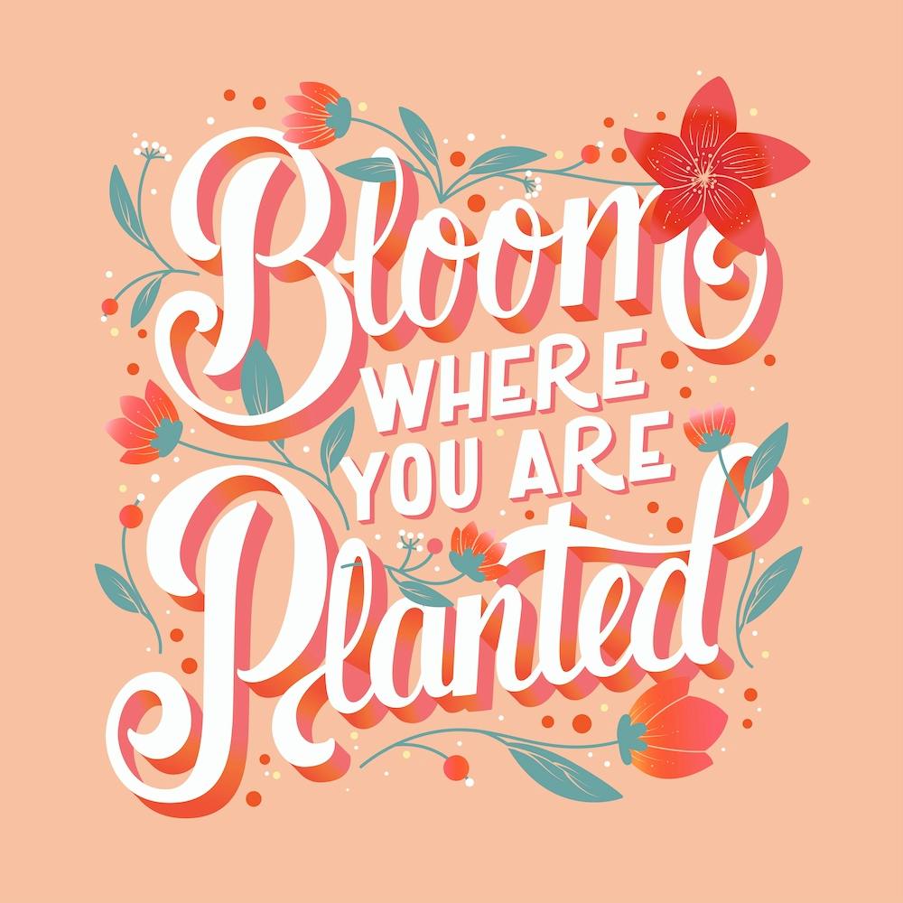 Bloom Where You Are Planted Hand Lettering With Flowers Square