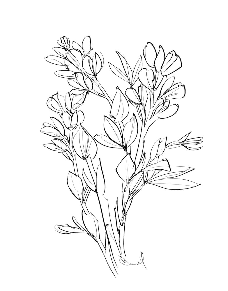 Floral Essence