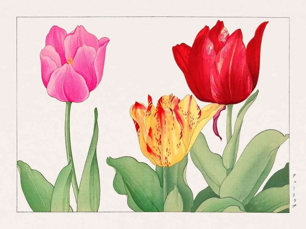 Tulipe, Estampe sur Bois Japonaise