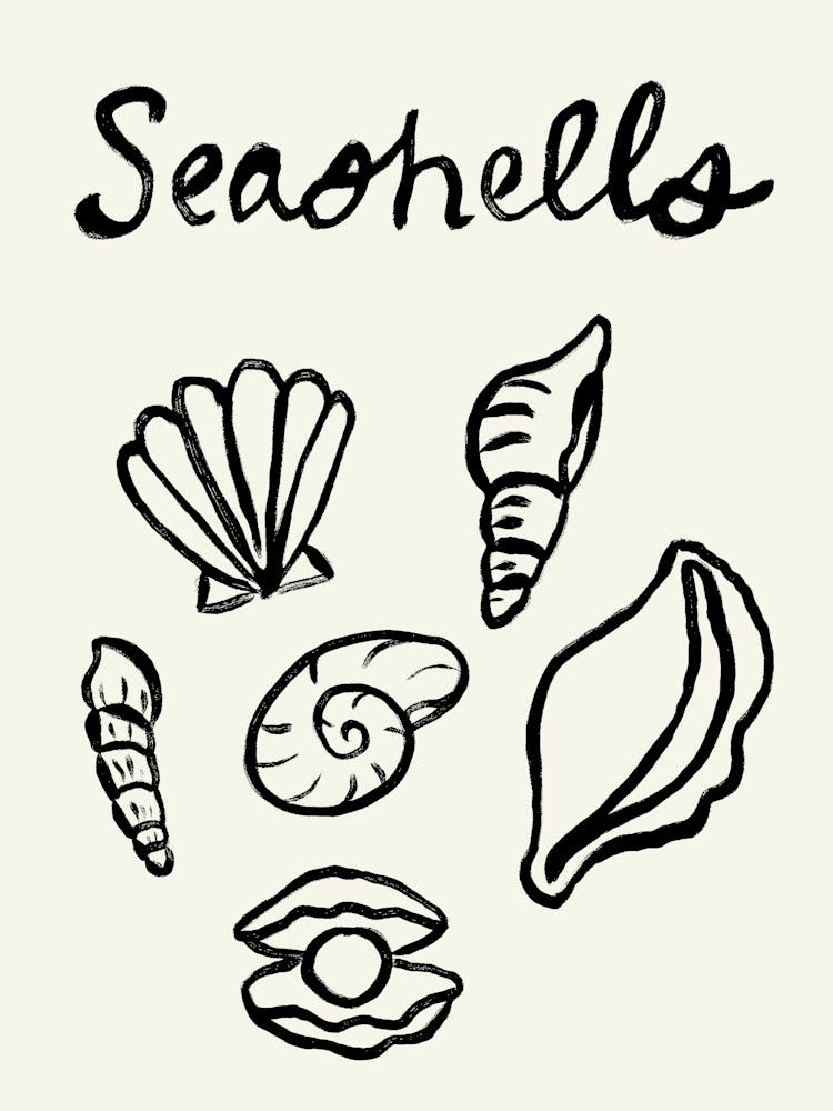 Seashell Doodles, Seashell Line Art, Minimalism Seashell Design 5