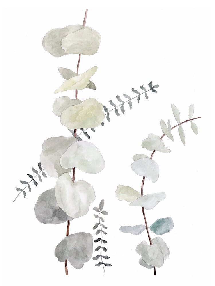Botanical Illustration Plant Mix1