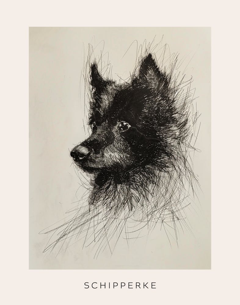 Schipperke Dog Line Sketch 2 Poster