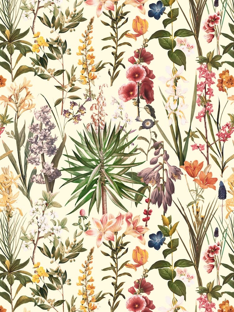 Secret Garden 6