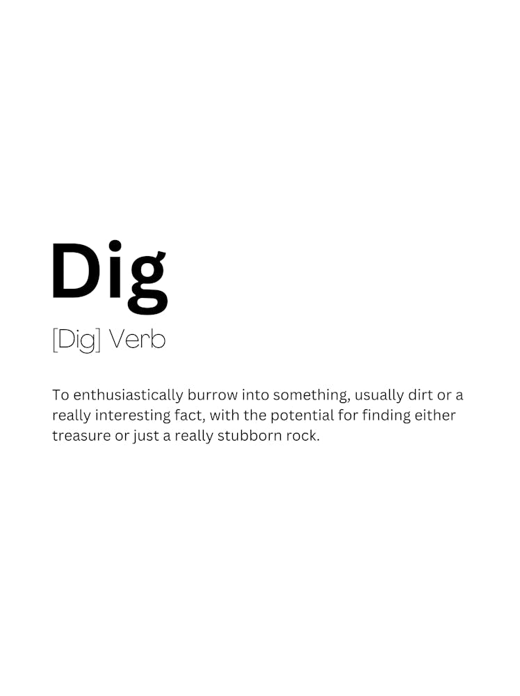 Dig Definition Meaning