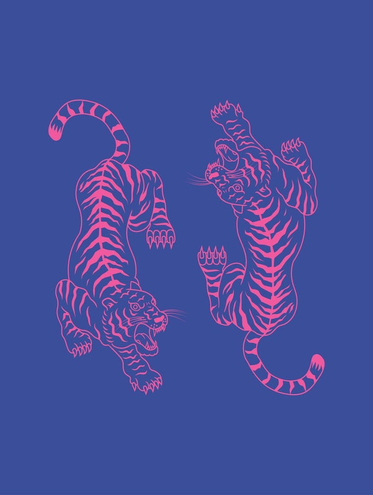 Blue And Pink Tigers