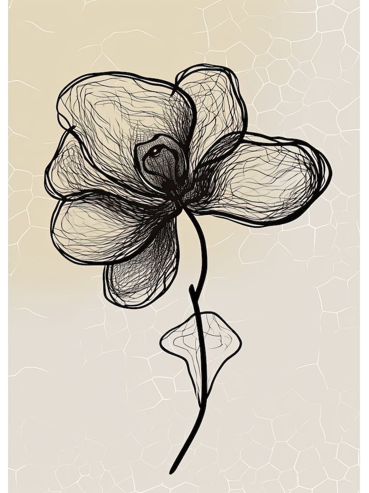 Line Art Orchids Flowers Illustration Neutral 6