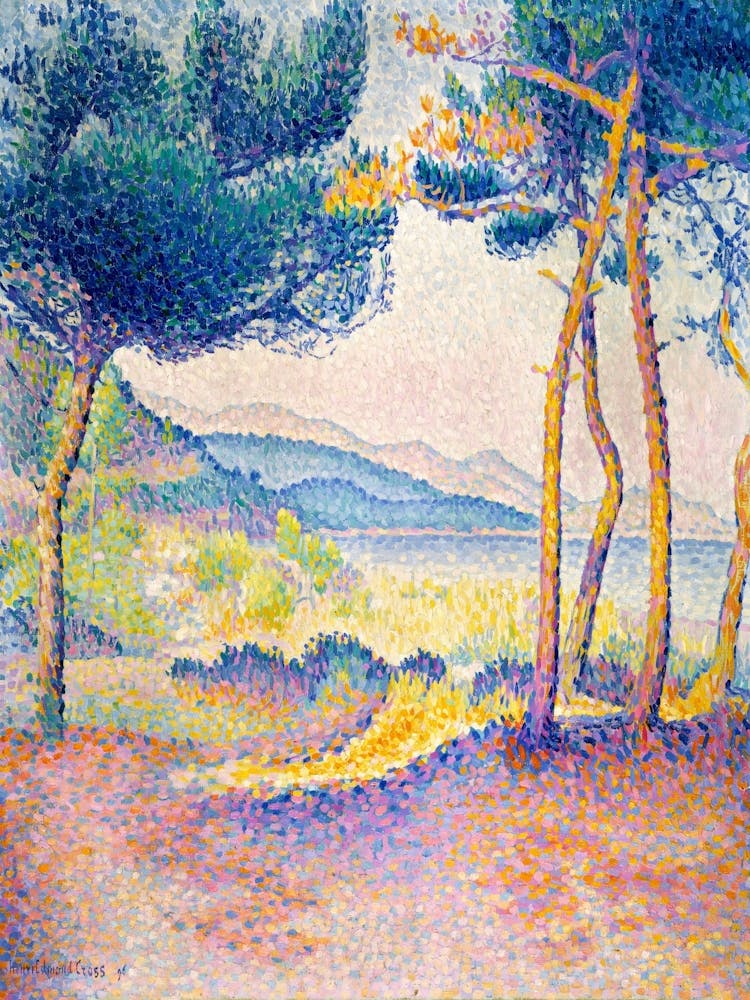 L'Avenue Des Pines