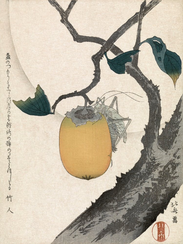 Persimmon And Grasshopper Vintage Japanese Woodcut Print, Katsushika Hokusai