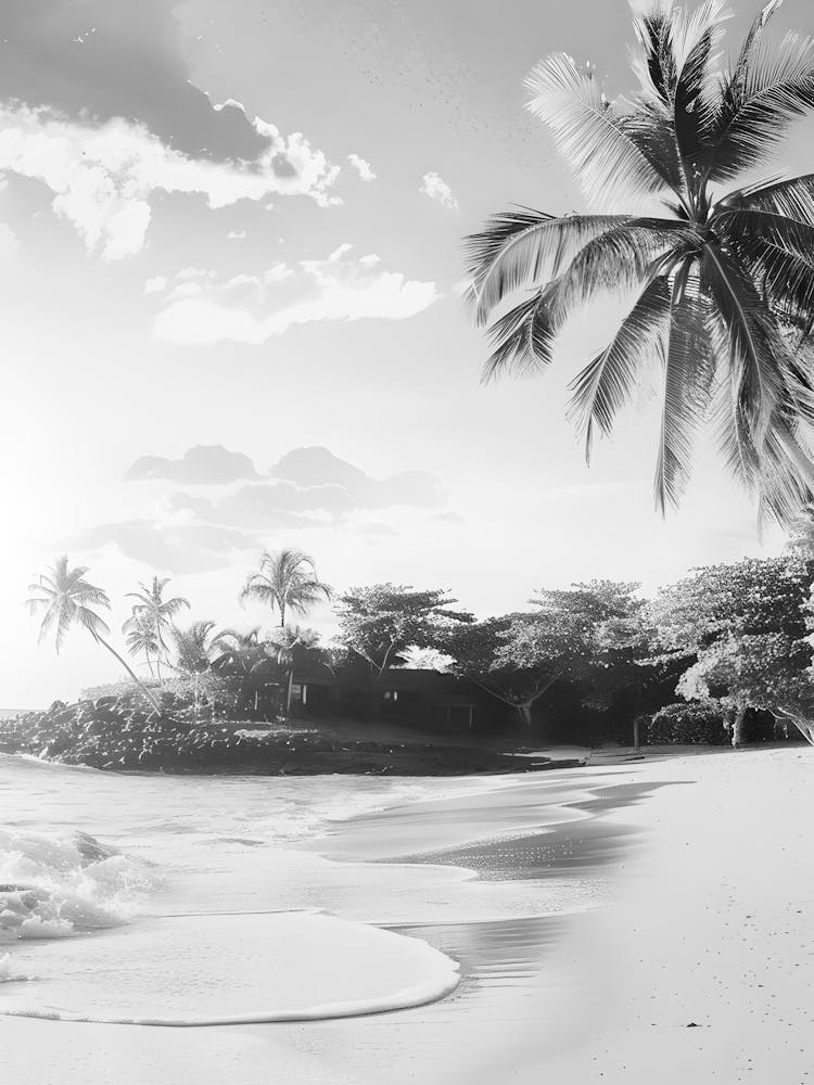 Black And White Beach 14
