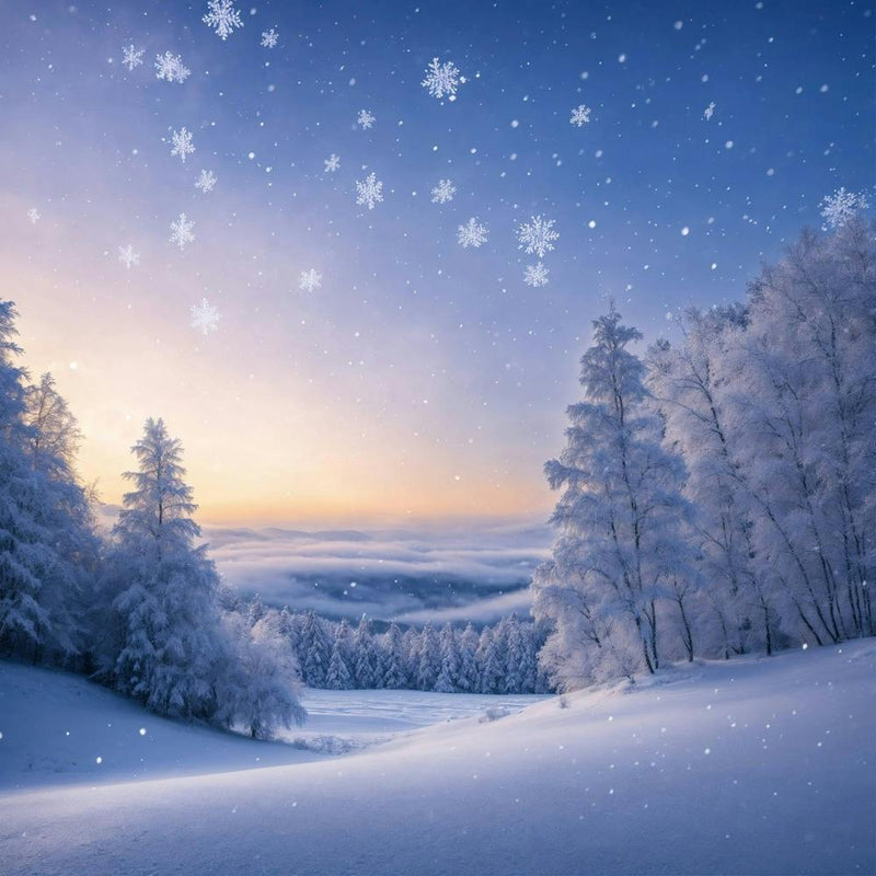 Snowy Landscape