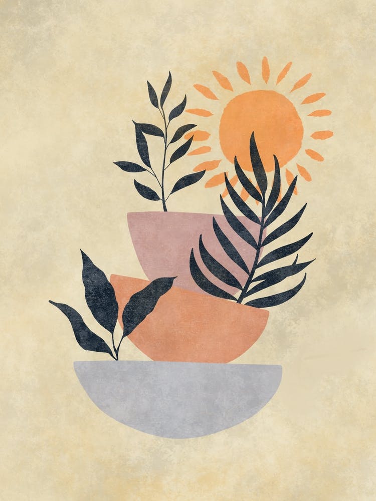 Sun And Plants 5