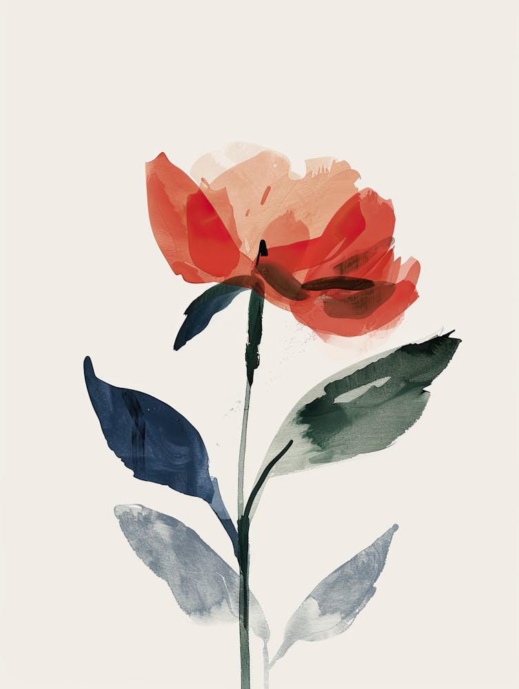 Boomerang Shadows At Golden Hour