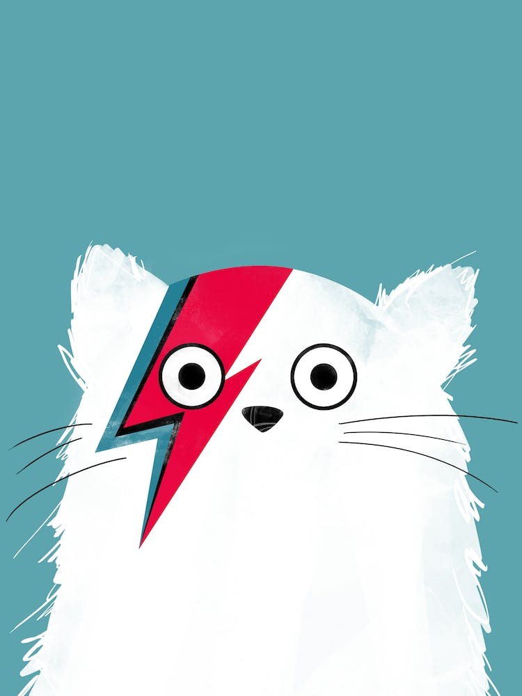 Cat Bowie White Version