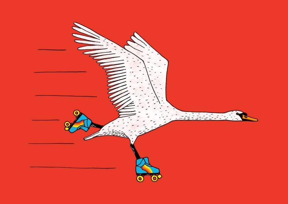 Skating Swan