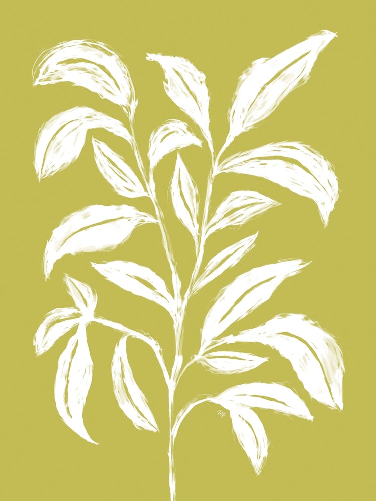 LimeLeafy Plant