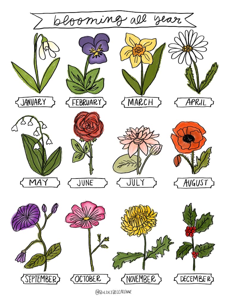 Blooming All Year 4