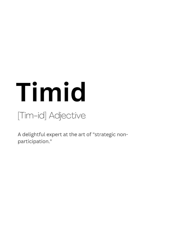 Timid Definition Meaning