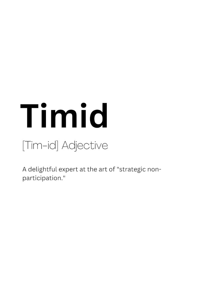 Timid Definition Meaning