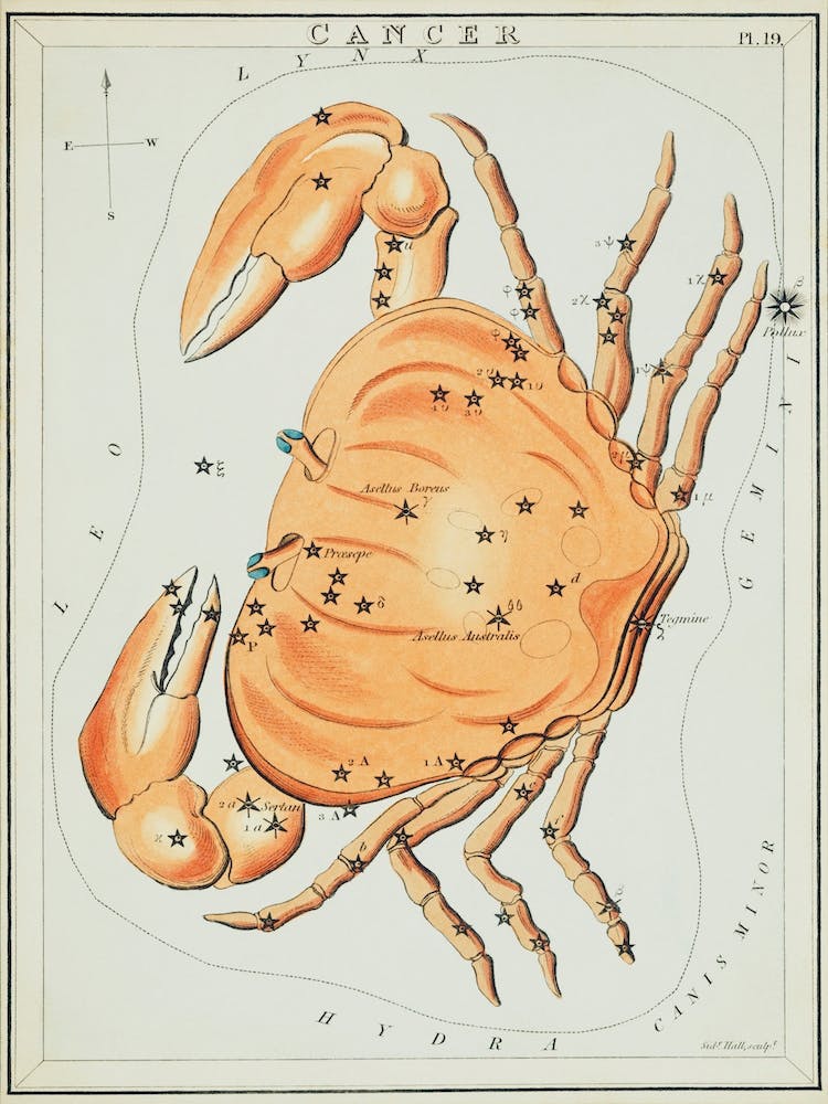 Sidney Hall’s (1831), Astronomical Chart Illustration Of The Cancer Zodiac