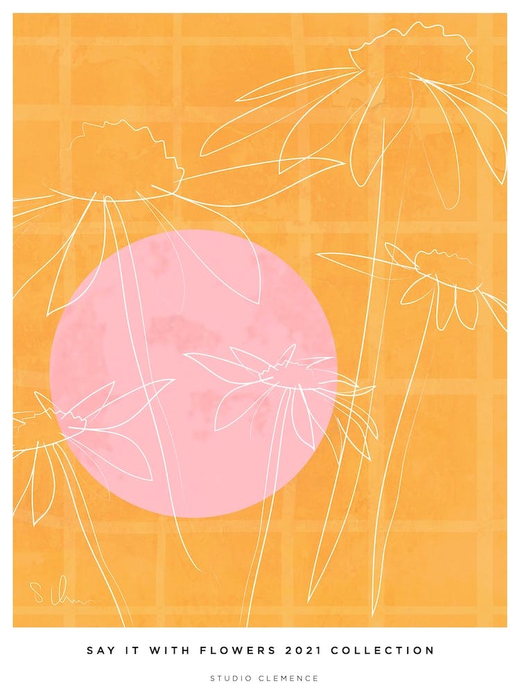 Outside The Lines Lady Garden