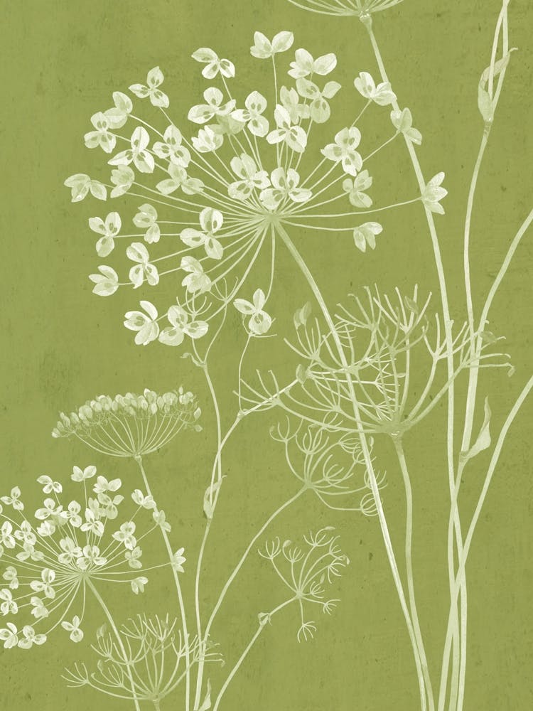 Wildflowers 14