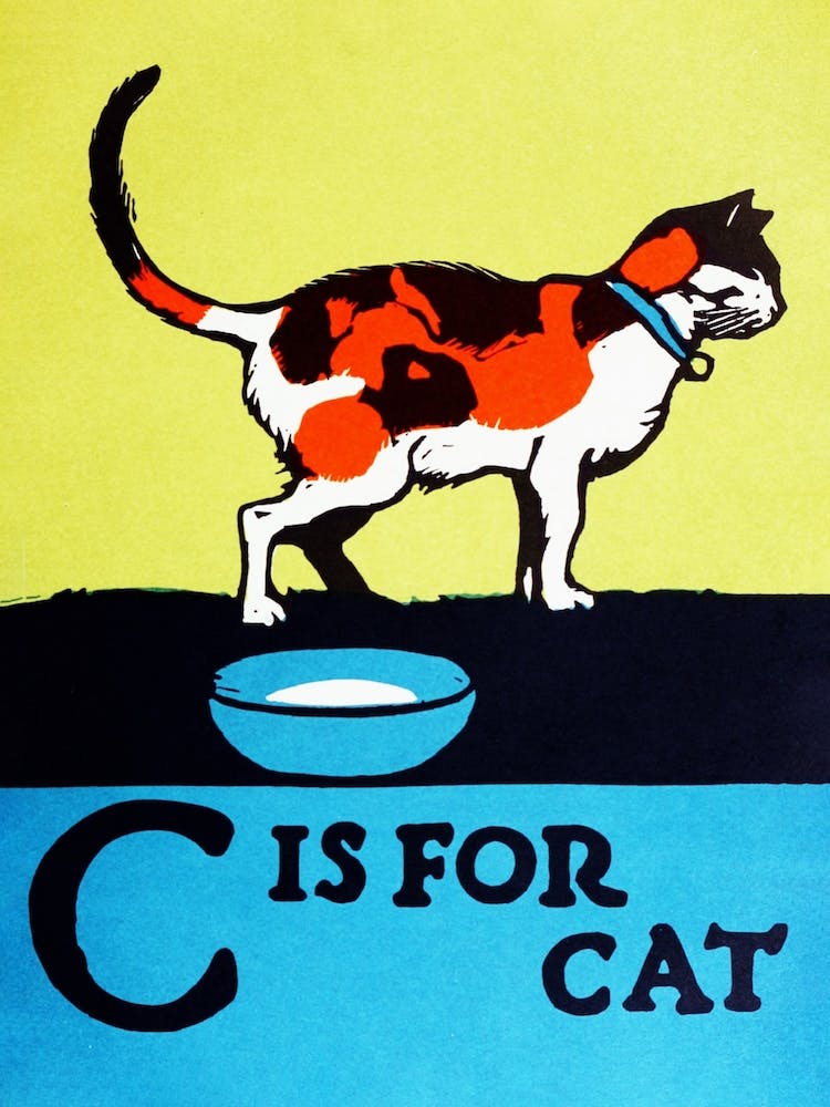 C Is For Cat Poster