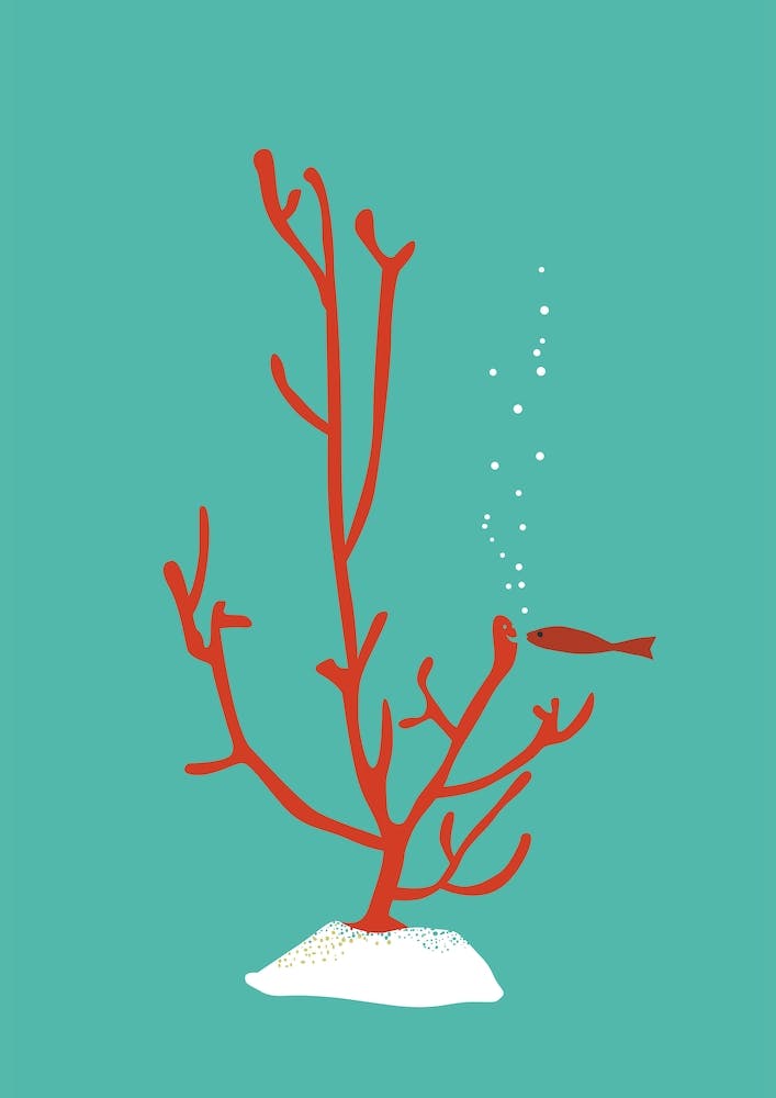 Coral Love