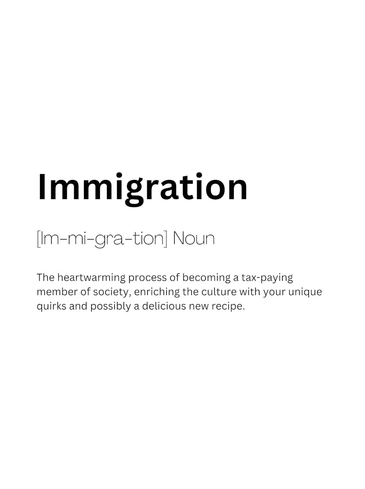 Immigration Definition Bedeutung 1