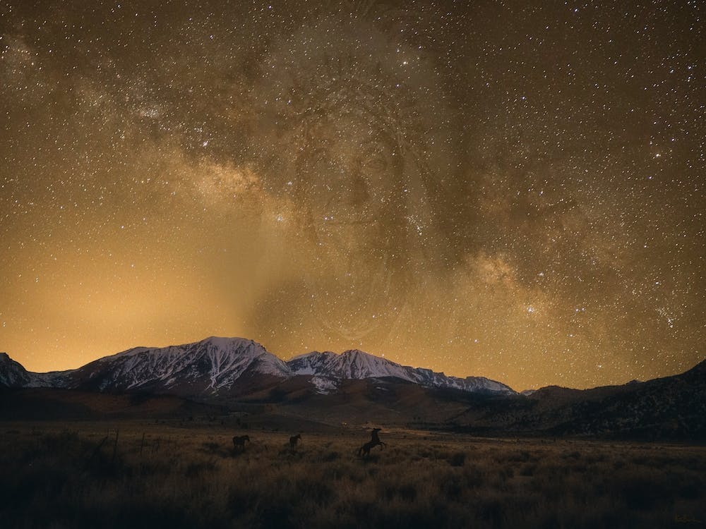 Wisewoman Galaxy