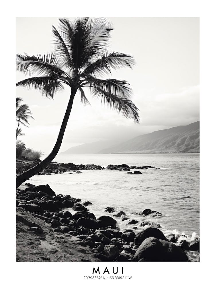 Poster Of Maui, Black And White Analogue Photograph 4