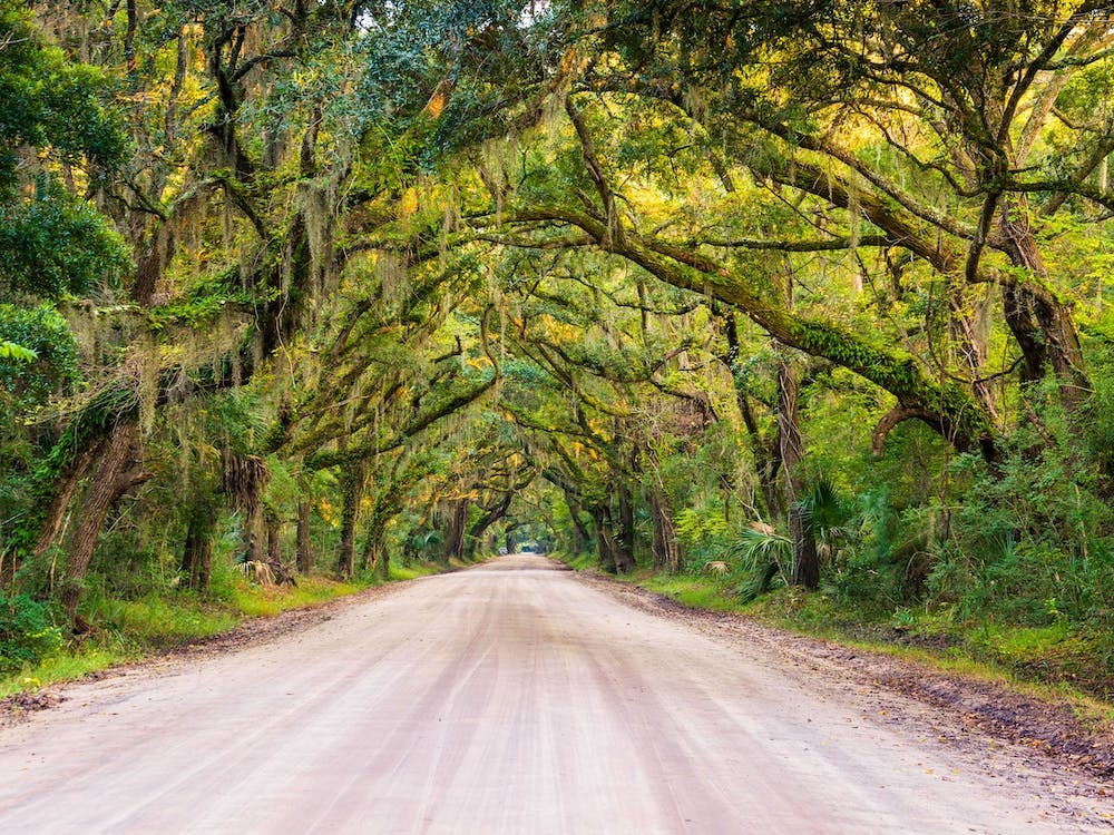 To Botany Bay