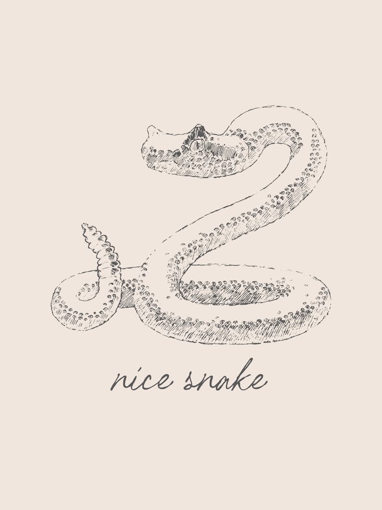 Nice Snake Bathroom Humor