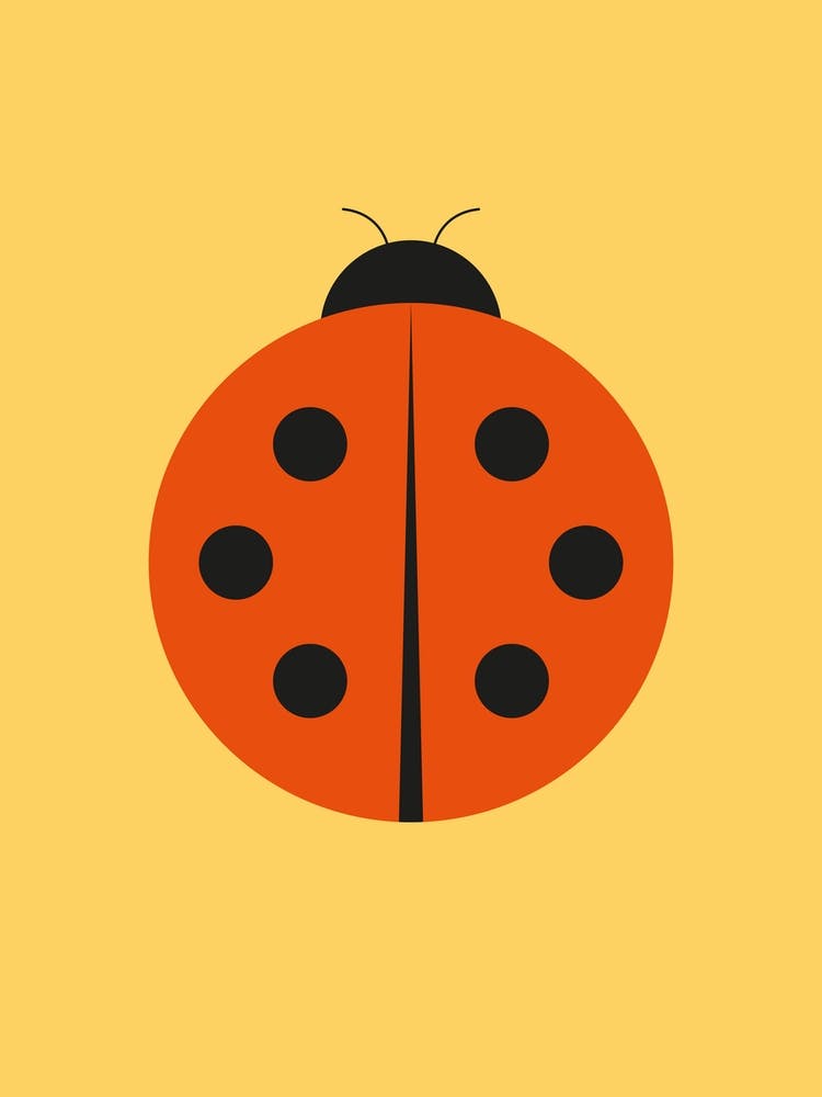Ladybug With Six Dots Red Yellow